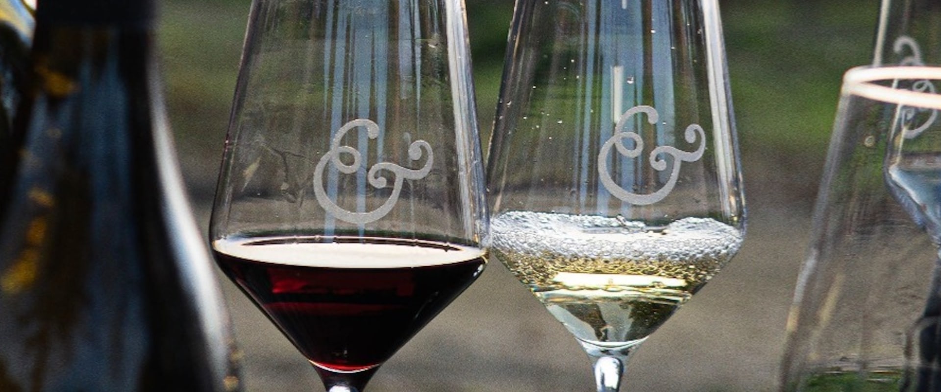 The Ultimate Guide to Finding Your Perfect Wine